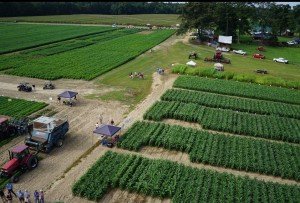 A general view of the Ag Expo event 